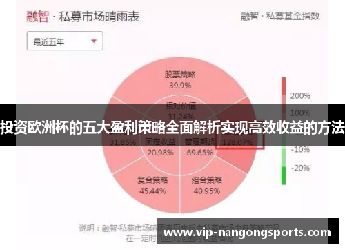 投资欧洲杯的五大盈利策略全面解析实现高效收益的方法